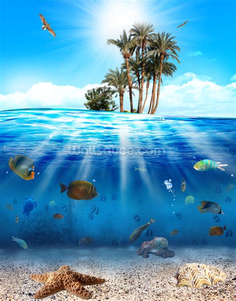 Underwater Scene Wallpaper Wall Mural Wallsauce USA