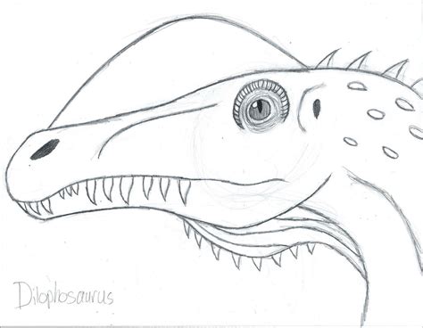 Dilophosaurus Sketch by Kyorgra on DeviantArt