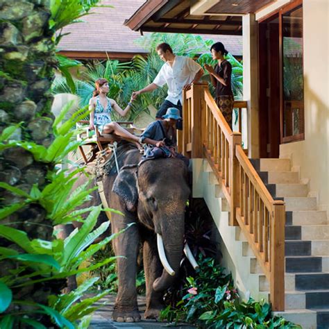 Mason Elephant Park Lodge Emagazine