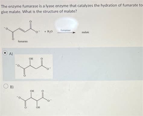 Solved The Enzyme Fumarase Is A Lyase Enzyme That Catalyzes Chegg