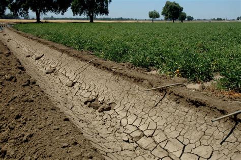 Drought - Water Education Foundation 