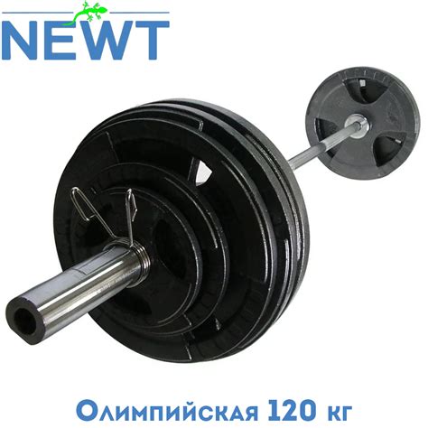 Купить Штанга олимпийская разборная стальная Newt 120 кг, гриф 2,2 м ...