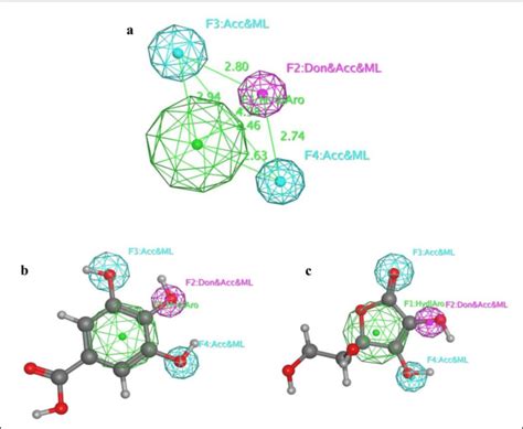 The Best Moe Pharmacophore Model Hypo A Chemical Features