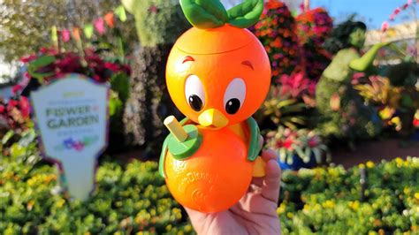 Orange Bird Sipper For The Epcot International Flower Garden