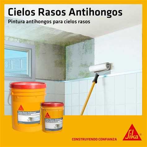 Pintura Cielos Rasos Antihongo Sika Lts Blanco Mundocolor Pinturas