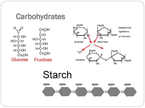 Ppt Biochemistry Powerpoint Presentation Free Download Id2672964