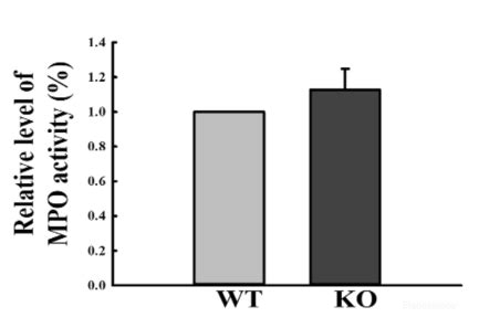 High Affinity And Specificity Myeloperoxidase Mpo Activity Assay Kit