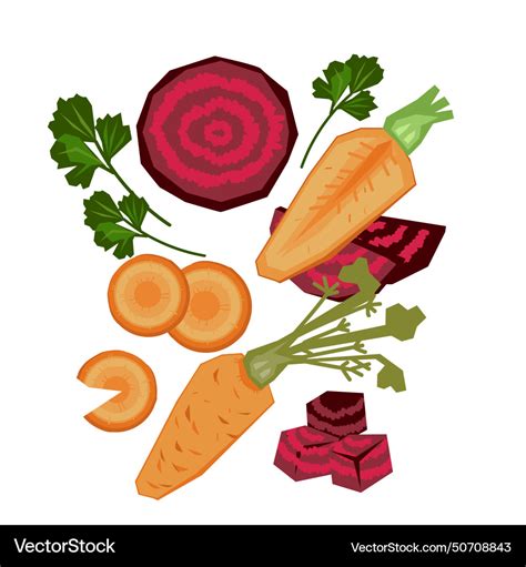 Underground Root Crops For Organic Farming Vector Image