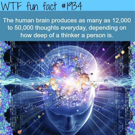 The human brain facts – Artofit