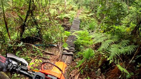 Rainforest Ride Youtube