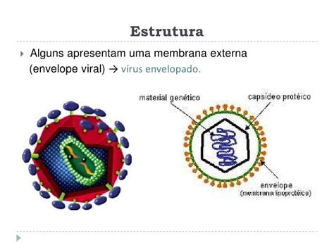 Os Vírus