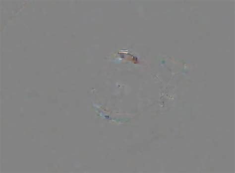 Cam Girl Anal Speculum By M D F