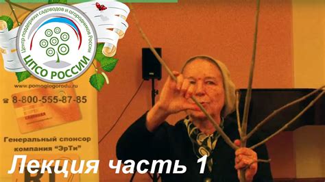 Обрезка и формирование плодовых деревьев и кустарников. Лекция. Часть 1 ...