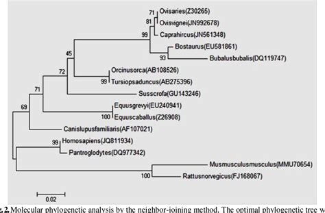 Figure From Comparative In Silico Study Of Sex Determining Region Y SRY Protein Sequences