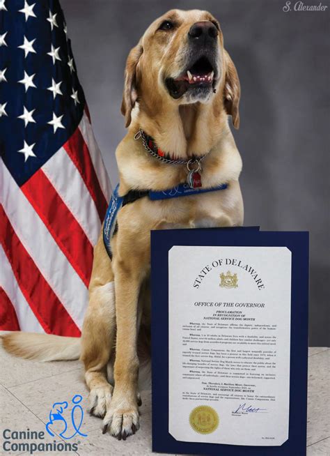 Delaware’s Five Public Housing Authorities Announce Opening Of