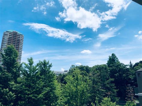 5月最後の日曜日 人生真っ只中