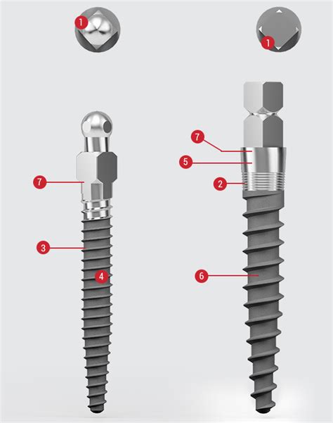 SD Small Diameter C Tech Global Supplier Of Dental Mini Implants