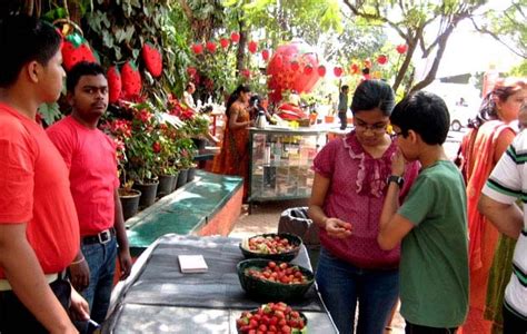 Strawberry Festival 2014