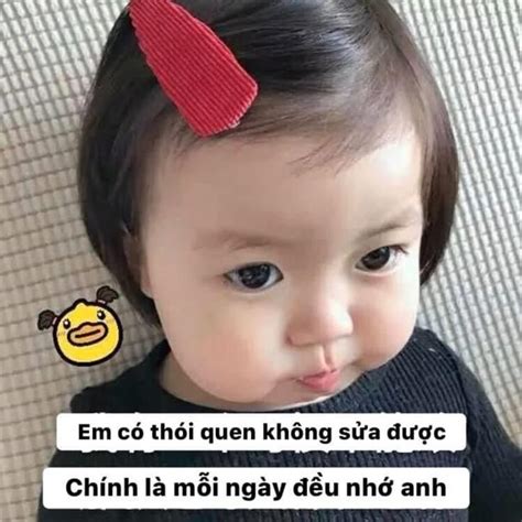 pin  nhat da  tuong tu  memes school quotes funny  memes