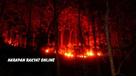 Tiga Hektar Kawasan Hutan Jati Di Pamarican Ciamis Terbakar