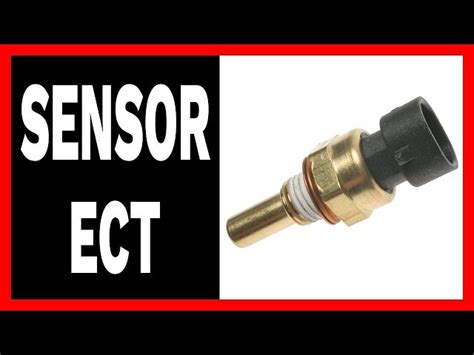 Sensor Ect Todas Las Marcas Qu Es Funcionamiento Y Fallas