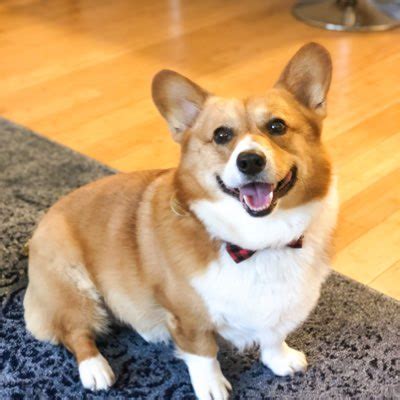 Cheddar on Twitter: "#NewProfilePic https://t.co/ZVYKJo8zKg" / Twitter