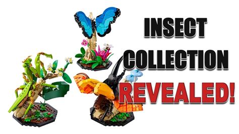 LEGO IDEAS Insect Collection OFFICIALLY Revealed YouTube