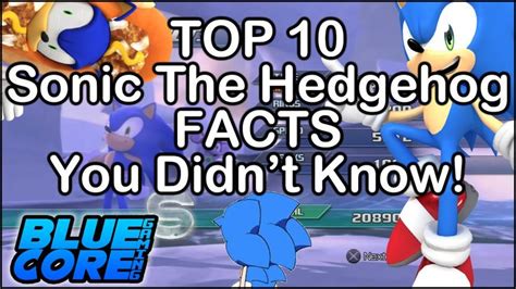 Top 10 Sonic The Hedgehog Facts You Didn T Know Hedgehog Facts