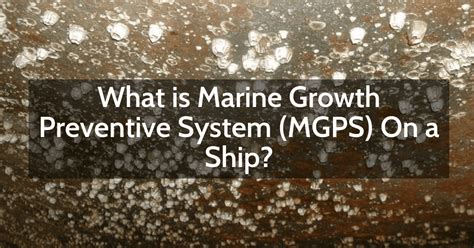 What Is Marine Growth Preventive System On A Ship