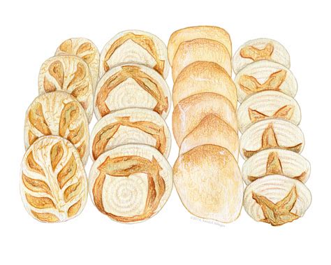 Bread & Pastry Illustration — Kendyll Hillegas