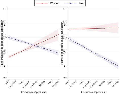 Porn Use And Mens And Womens Sexual Performance Evidence From A Large Longitudinal Sample