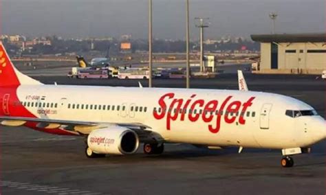 Dgca Restrains 90 Spicejet Pilots From Flying Boeing 737 Max Asks Them