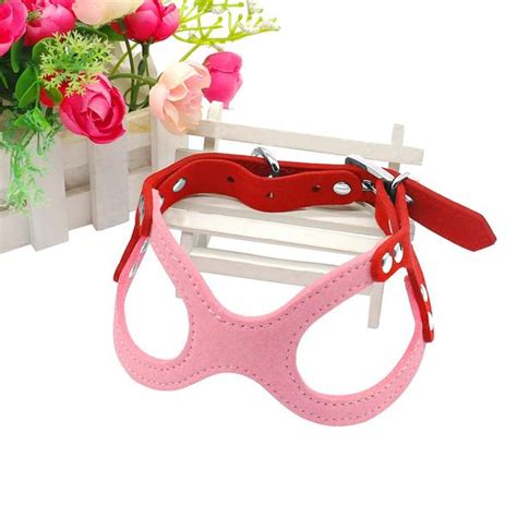 Small Dog Leather Harness – The Sofia Shop