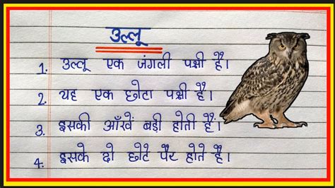 10 Lines on Owl उलल पर नबध Essay on Owl in Hindi 10 Lines on Owl in