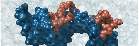 Nanoparticelle Selettive Per Trasportare Terapie A Base Di Rna E Dna