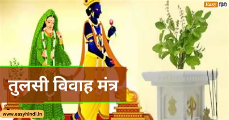 Tulsi Vivah Date 2023 कर्ज मुक्त करेंगे तुलसी मां के यह मंत्र और शुभ मुहूर्त