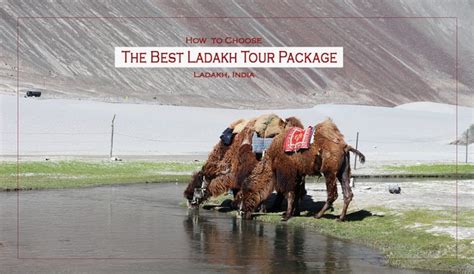 How to Choose The Best Ladakh Tour Package | Travel Hippies