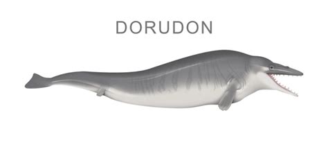 Dorudon Royalty-Free Images, Stock Photos & Pictures | Shutterstock