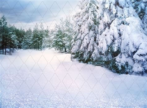 Snowy Landscape Digital Background. Bright Snowy Day Along the - Etsy