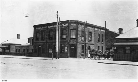 Sturt Street Adelaide • Photograph • State Library Of South Australia