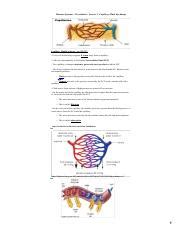 Circulation Day Pdf Human Systems Circulation Lesson