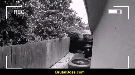 Kimberlee Anne Cum Hungry Brunette