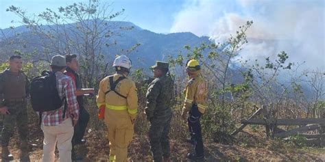 Incendio Devastador En Quilanga Loja Hect Reas De Bosques Y