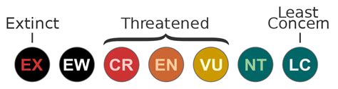 Graphic Diagram For The Iucn Red List Categories