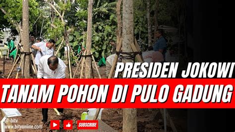 Presiden Jokowi Tanam Pohon Di Pulo Gadung Jaktim Didampingi Heru Budi