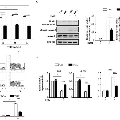 TSIC Protected H9c2 Cells From H2O2 Induced Apoptosis A H9c2 Cells