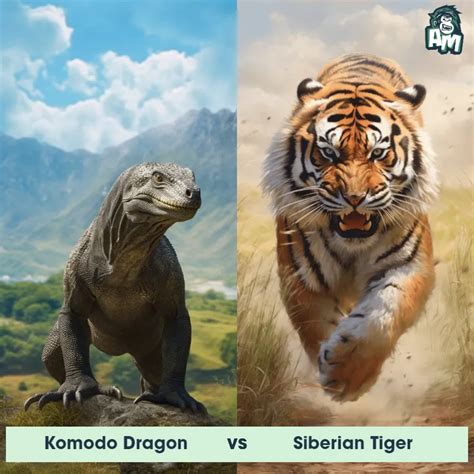 Komodo Dragon: Predator-Prey Interactions, Fights, and Aggressive Behaviors | Animal Matchup