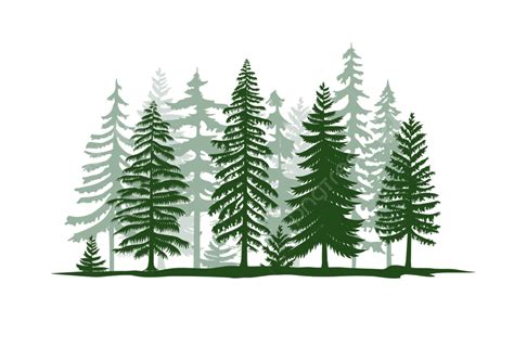 White Pine Tree Silhouette Png Free Pine Trees Silhouette Vector