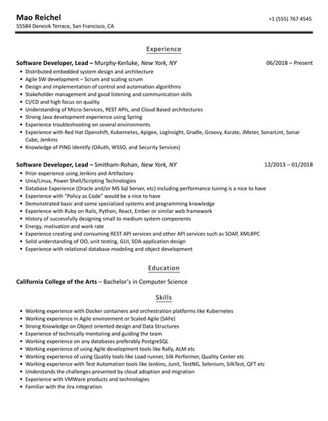 Software Developer Lead Resume Samples Velvet Jobs