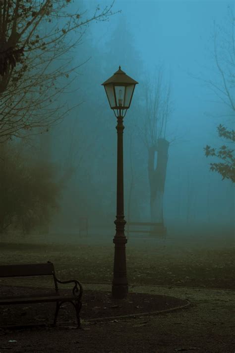 streetlight in fog by Sanja Dedić / 500px | Imagens fantásticas ...